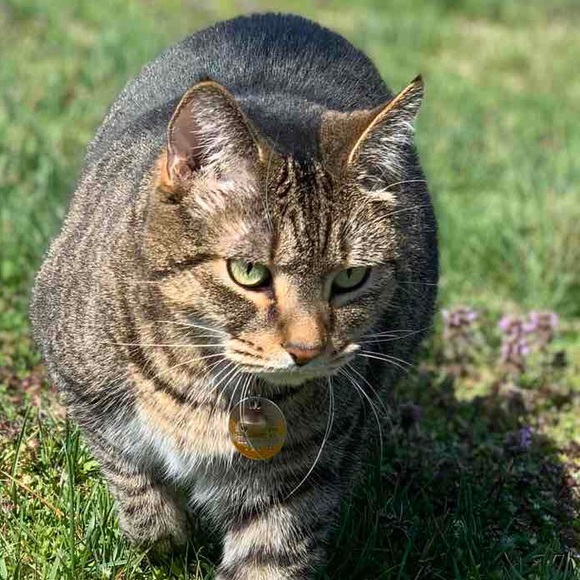 Meet your Posher, Rajja - Picture 1 of 1